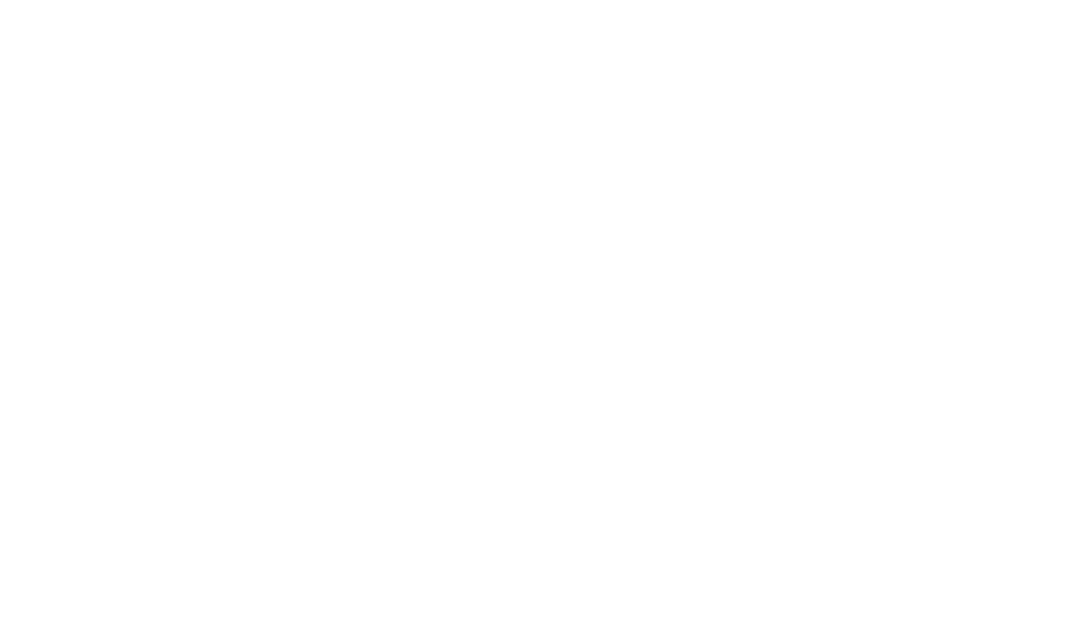 RSGeeks